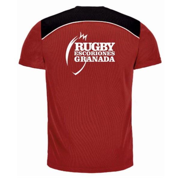 Camiseta Inclusivo manga corta - Imagen 2