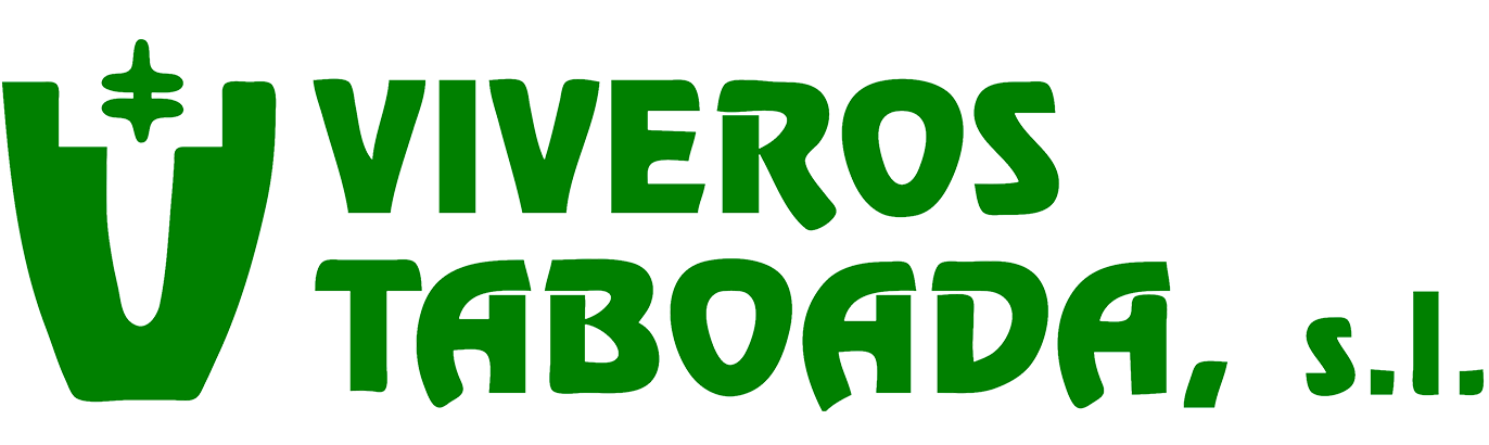 Carrusel_0005_Vivero-TaboadaColor