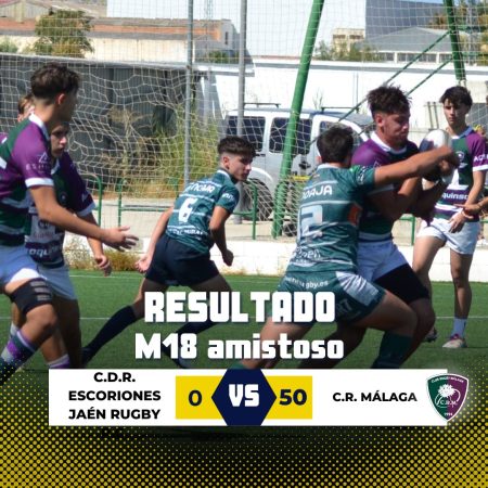 Plantilla Resultados M18